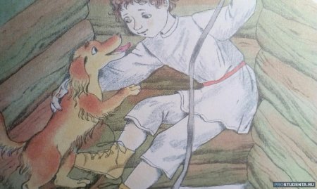 Гарин-Михайловский тёма и жучка