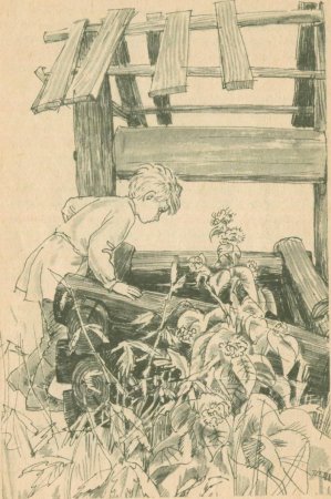 Тема и жучка Гарин Михайловский Михайловский