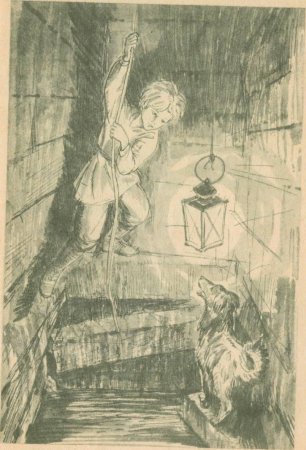 Дмитриева малыш и жучка иллюстрации