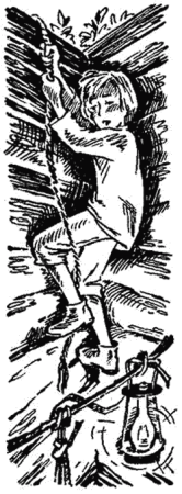 Николай Гарин-Михайловский — тёма и жучка: рассказ