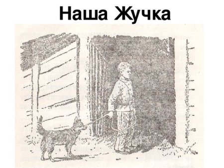 Тема и жучка диафильм