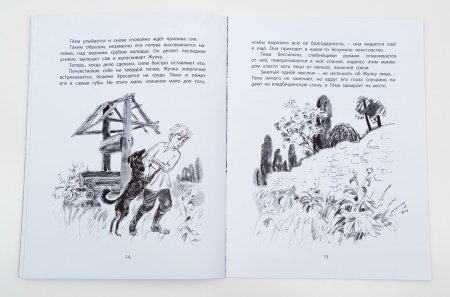 Тема и жучка Гарин-Михайловский читать