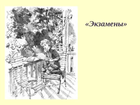 Детство тёмы Гарина- Михайловского экзамен
