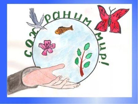 Рисунок по экологии