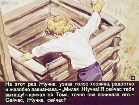 Рассказ н г Гарина-Михайловского тёма и жучка