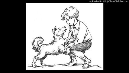 Произведения д н Мамина Сибиряка Постойко