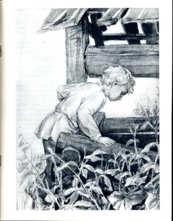 Гарин-Михайловский тёма и жучка