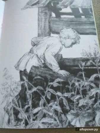 Николай Гарин-Михайловский тёма и жучка