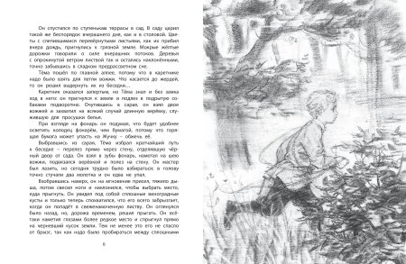 Сказка н.г Гарина-Михайловского тёма и жучка