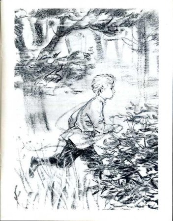 Гарин-Михайловский тёма и жучка