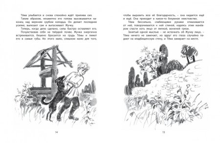 Рассказ Гарин Михайловский тема и жучка