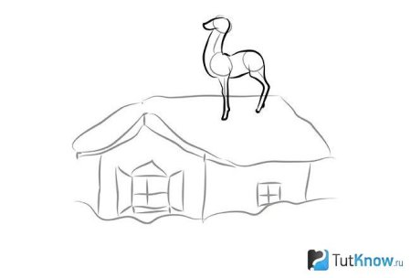 Иллюстрация к рассказу серебряное копытце 4 класс