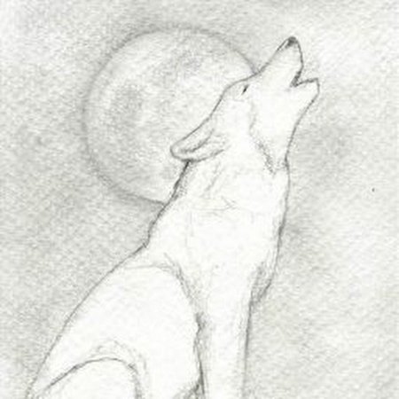 Рисунки лошадей карандашом легкие