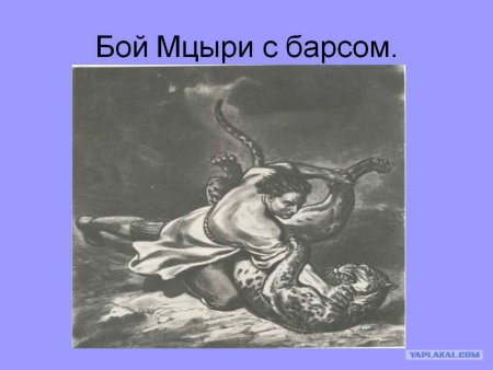 Мцыри Лермонтов Барс