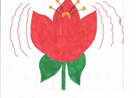 Аленький цветочек нарисов