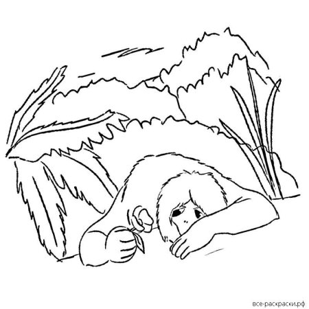 Аленький цветочек рисунок