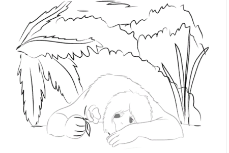 Аленький цветочек нарисов