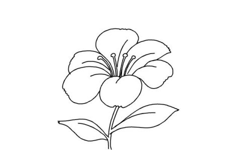 Иллюстрация к сказке Аленький цветочек 4 класс