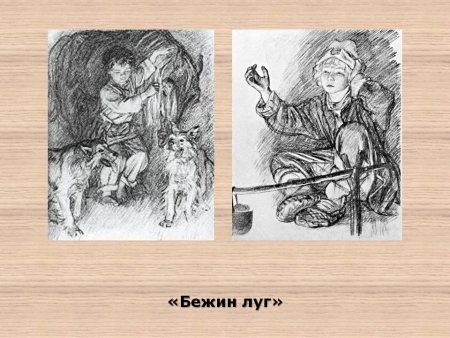 Иллюстрации к произведению Тургенева Бежин луг