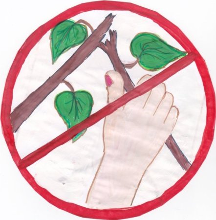 Плакат на тему берегите воду