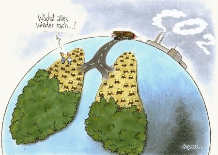 Лес легкие планеты