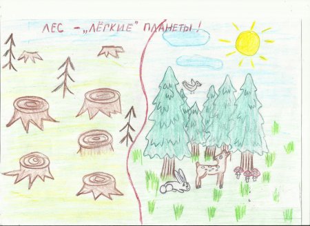 Рисунок лес легкие планеты