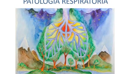 Зеленые легкие