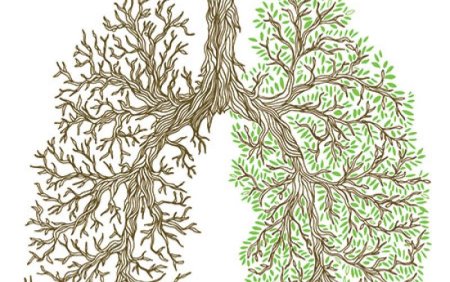 Дерево Гринпис