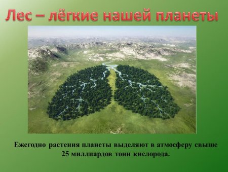 Рисунок на тему защита природы