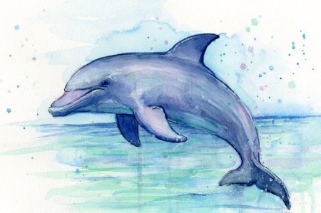 Черноморская Афалина