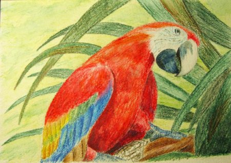 Рисунки на свободную тему несложные