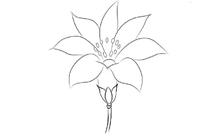 Рисунки к сказке Аксакова Аленький цветочек