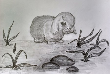 Рисунки карандашом природа и животные