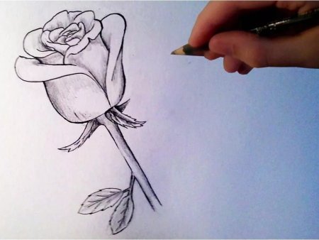 Рисунки карандашом