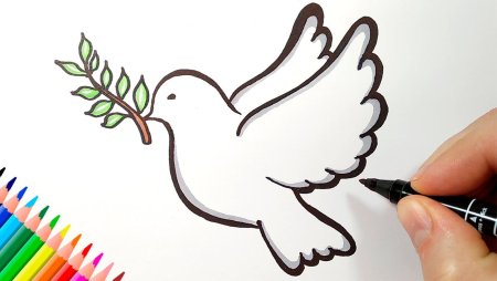 Рисунок голубя для срисовки