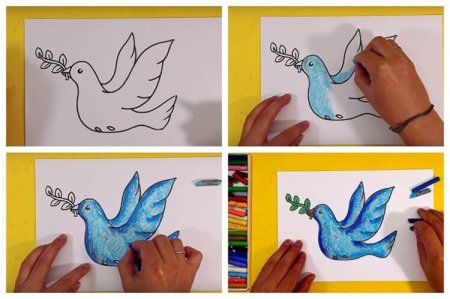 Поэтапное рисование голубя