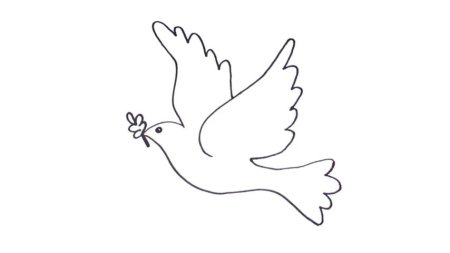 Голубь поэтапное рисование для детей