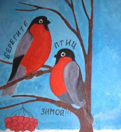 Рисование зимующие птицы
