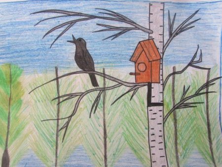 Белов скворцы