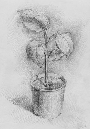 Рисунки на свободную тему легкие