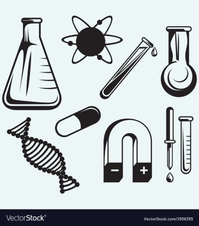 Биология химия предметы