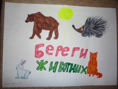 Рисунок на тему берегите животных