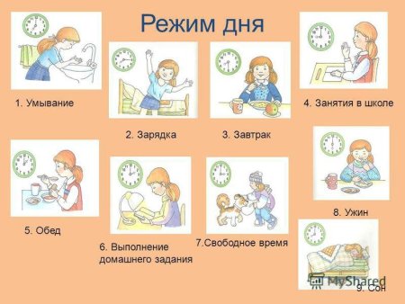 Режим дня школьника рисунок