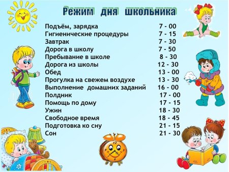 Опишите примерные схемы режима для школьника