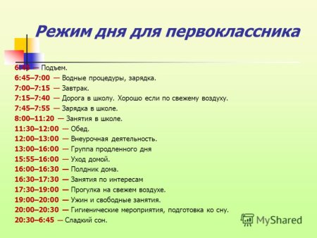 Распорядок дня