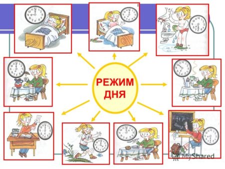 Режим дня рисунок