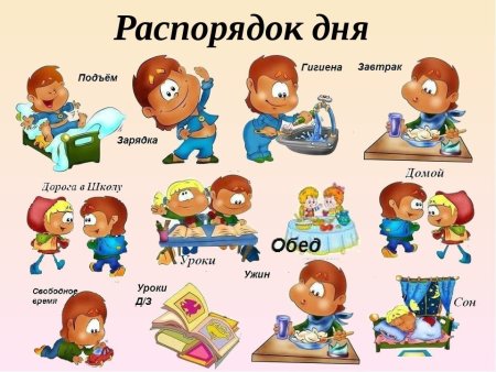 Распорядок дня