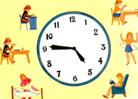 Распорядок дня