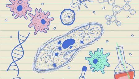 Биология фон