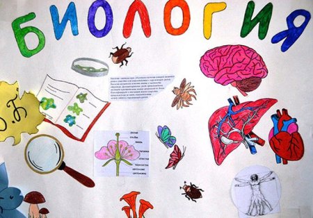 Плакат по биологии